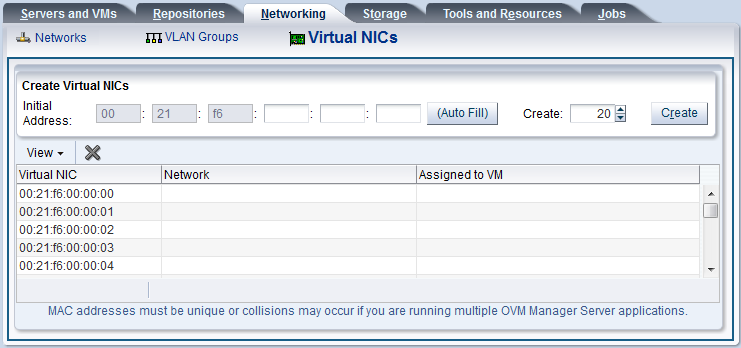 This figure shows the Create Virtual NICs page.