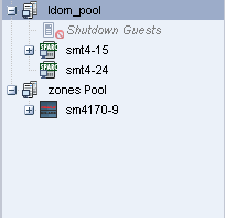 Description of ldom_pool_select.png follows