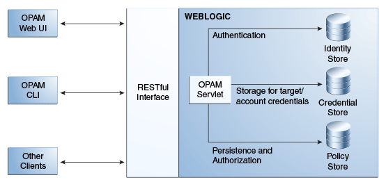 Diagram showing OPAM server architecture