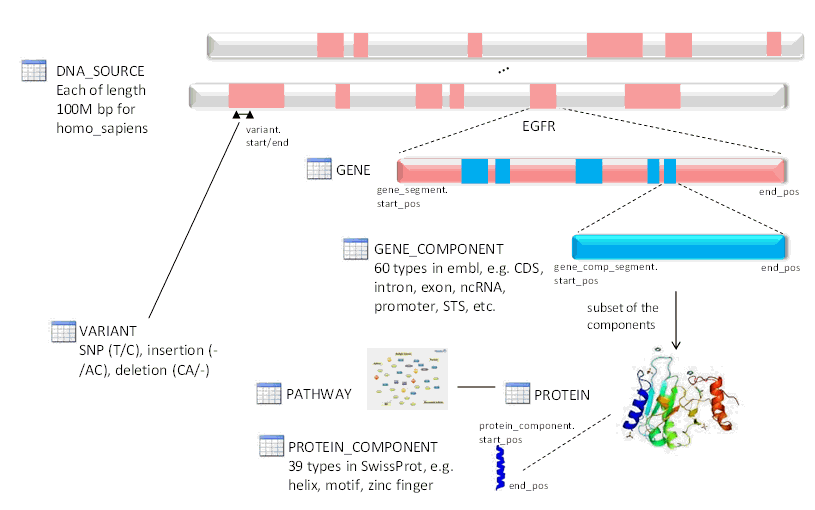 Description of Figure 1-3 follows