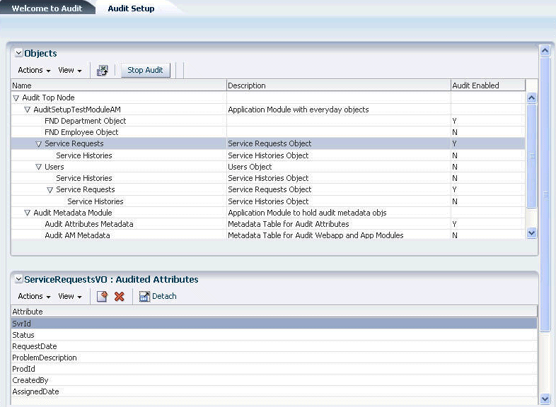 Audit Setup Page