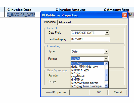 Formatting the date field