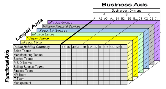 This figure is a grid in the shape
of a cube with the Business Axis representing the enterprise division,
Legal Axis representing the companies, and the Functional Axis representing
the business functions.