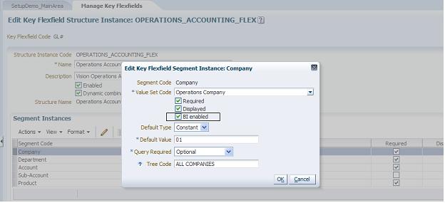 This screen shot displays the BI enabling of the key flexfield segment instance.