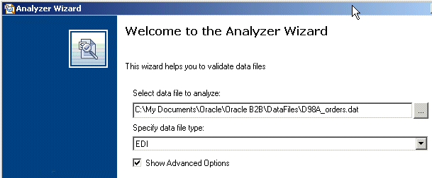 Document editor - using the Analyzer