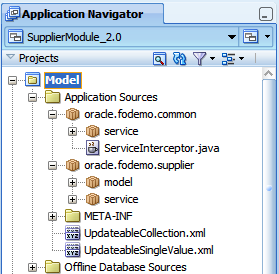 Directories in the Model project