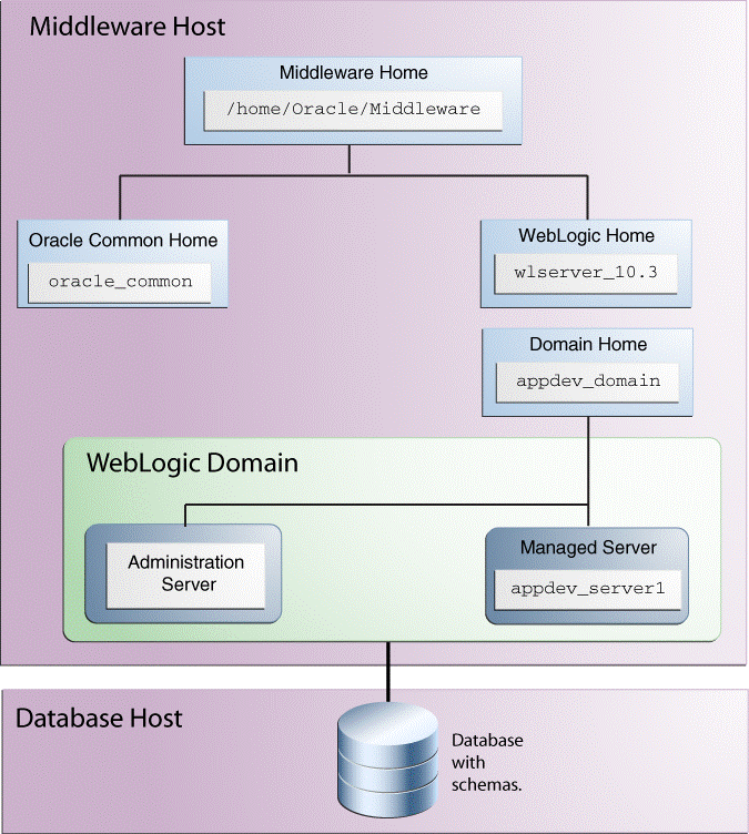 Directory Structure of Oracle Application Developer