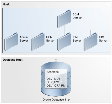Oracle WebCenter Suite Statement of Direction