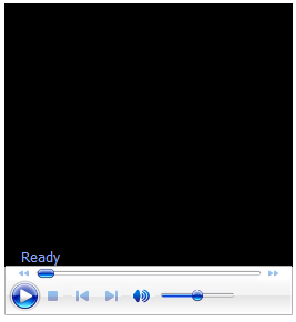 Media player with all controls