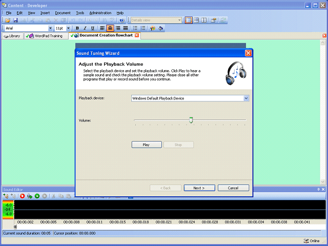 Screen image of this step