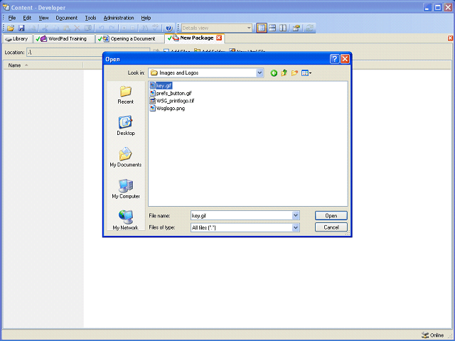 Screen image of this step