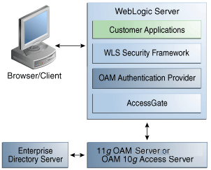 Webおよび非Webリソース用のOAM認証