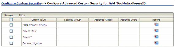 Text describes the Advanced Custom Security Option page.