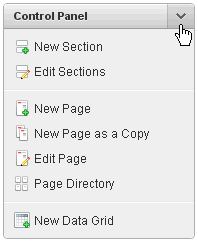 websheet_control_panel.gifの説明が続きます