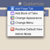 This graphic shows the Customize menu options.