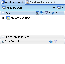 Data control panel of the consuming project.