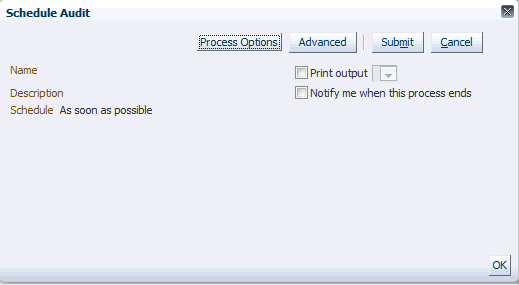 Schedule Audit Window