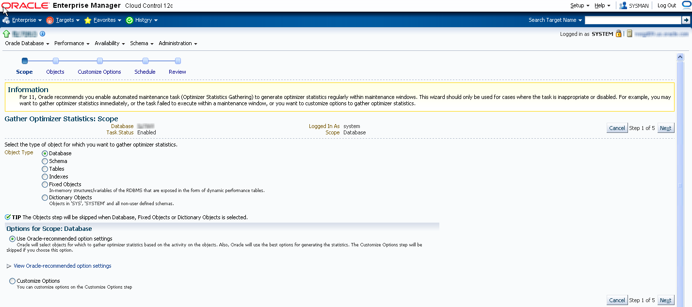 Using the Fusion Applications Control to Gather Statistics