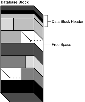 Description of Figure 12-10 follows