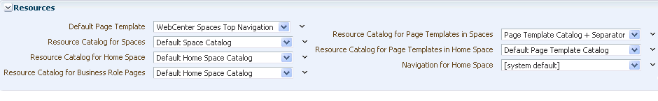Resources section on the General page (application)