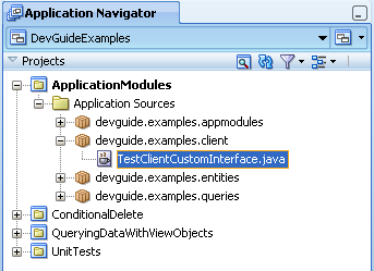 Selected test client in Application Navigator