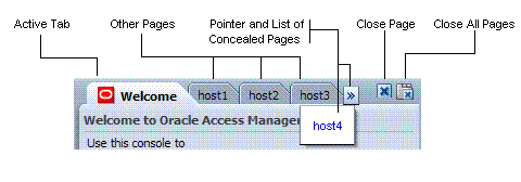 Tabs of Open Pages and Page Controls