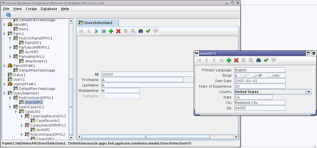 Application module view of a descriptive flexfield
