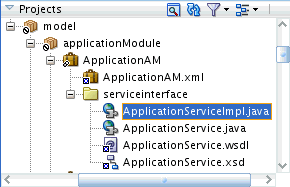 Application module service interface structure