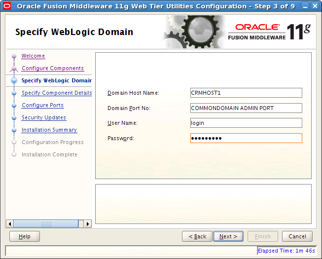 Specify WebLogic Domain Window
