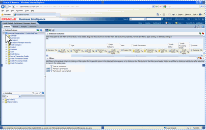 This screen shot shows an example of opening of a credit details report in edit mode: