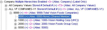 This screen shot sows an example of the Company Dimension with shared members.