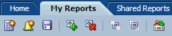 edit report toolbar