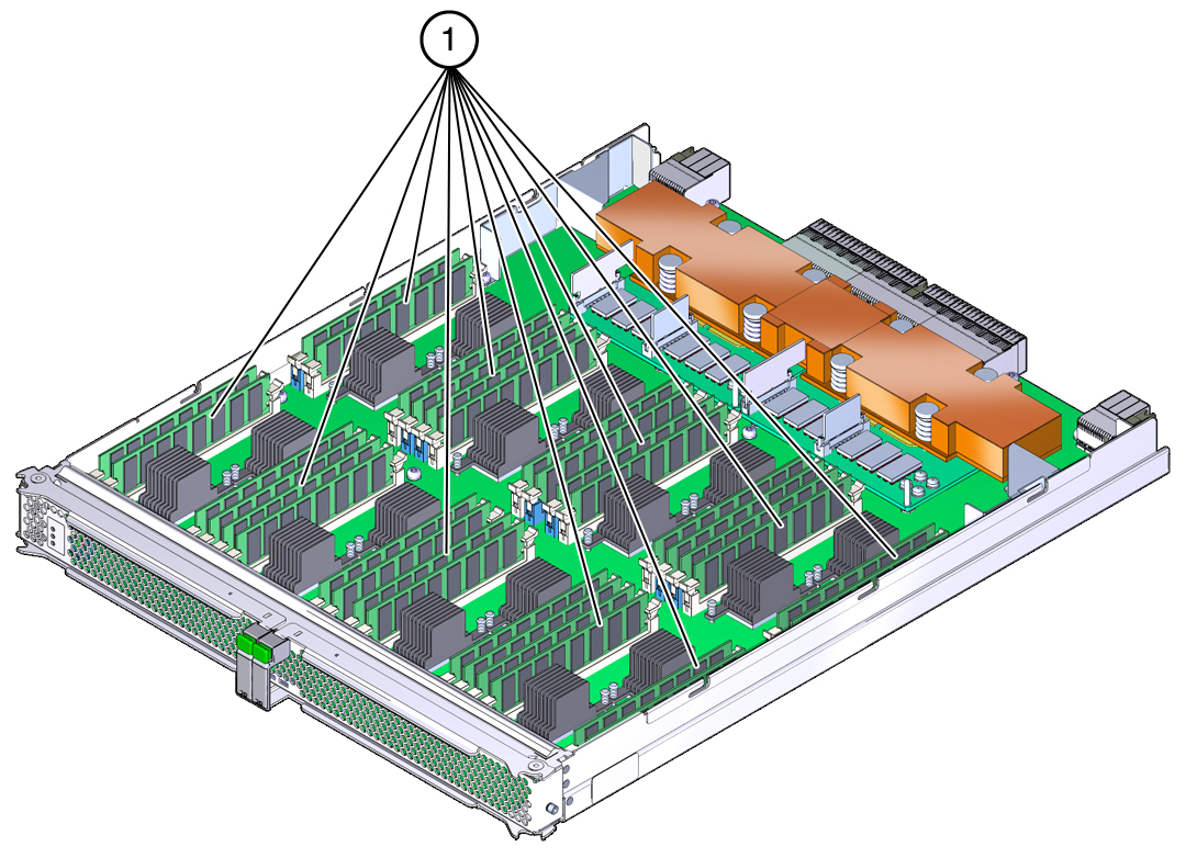 image:Graphic showing the DIMMs inside of the processor module.