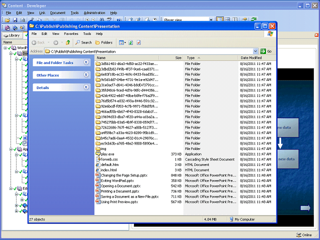 Screen image of this step