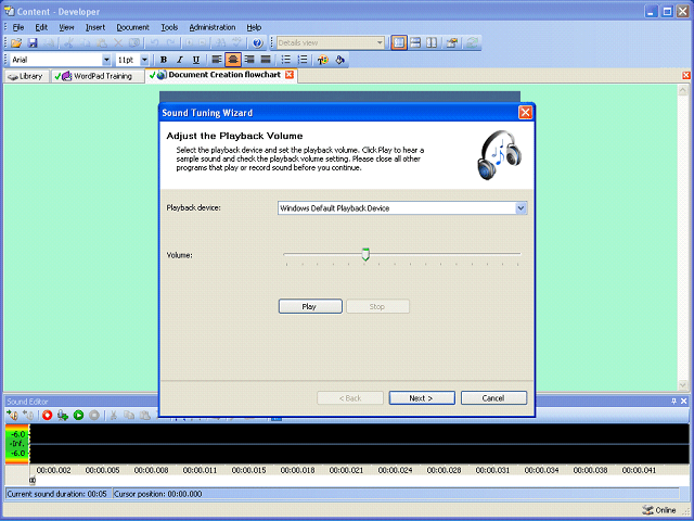 Screen image of this step
