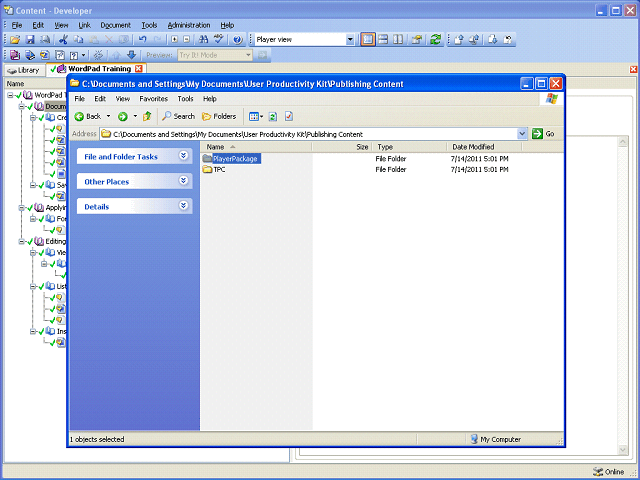 Screen image of this step