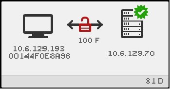 (31) Network Status Icon.