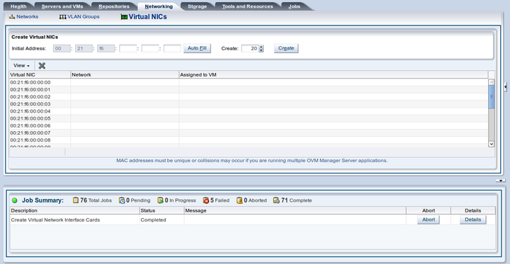 This figure shows the Create Virtual NICs page.