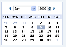 chooseDate screenshot