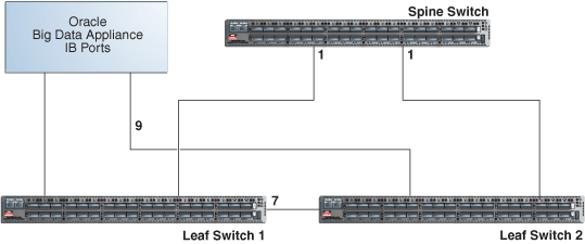 Leaf switches connecting to spine switch