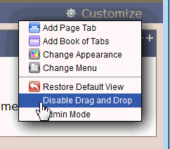 This graphic shows the Customize menu options.