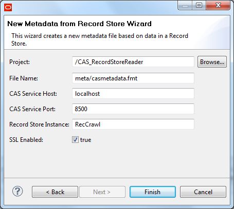 Example of completed Record Store wizard dialog