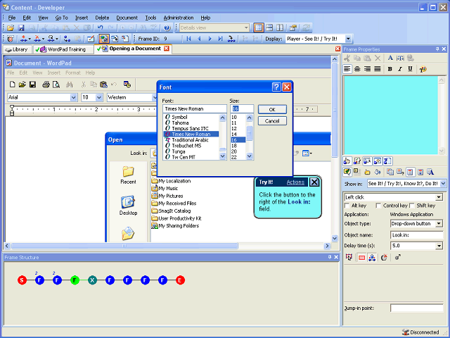 Screen image of this step