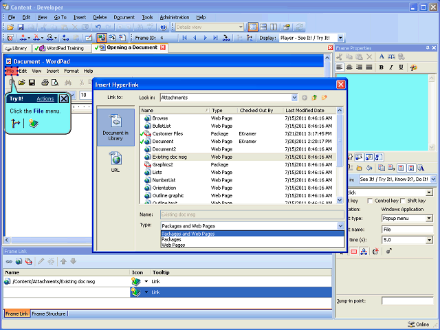 Screen image of this step