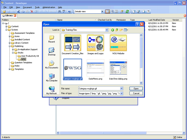 Screen image of this step