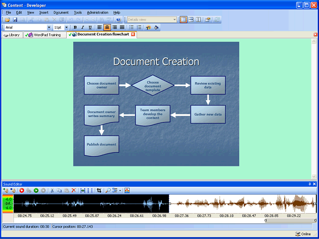 Screen image of this step
