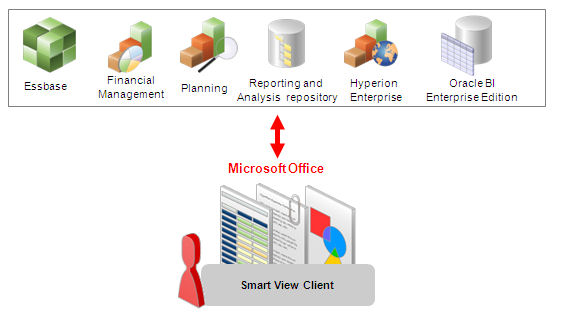 Image shows the data sources that the Smart View client can connect and use to retrieve data.