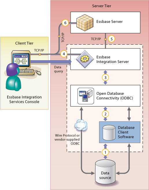 Integration Services components and connections.