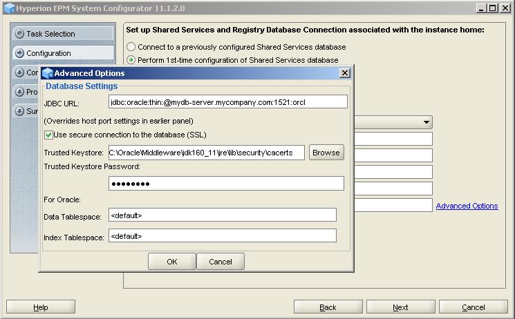 The Advanced Options screen where you set secure connection parameters for the Foundation Services database.