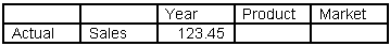 Data grid with Year, Product, and Market on columns, and (Actual, Sales) on row. One data value at the intersection reads  123.45.